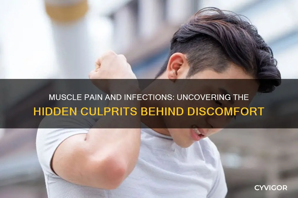 what infection can cause muscle pain