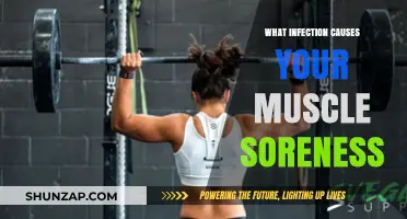 Uncovering the Viral Culprit Behind Your Persistent Muscle Soreness