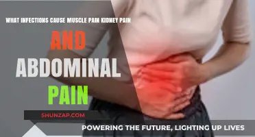 Infections Triggering Muscle, Kidney, and Abdominal Pain: Causes Explained
