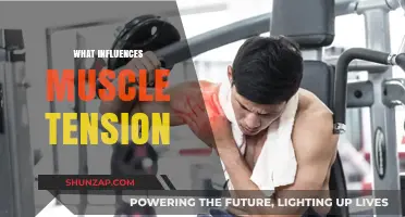 Muscle Tension: Understanding the Underlying Factors and Influences