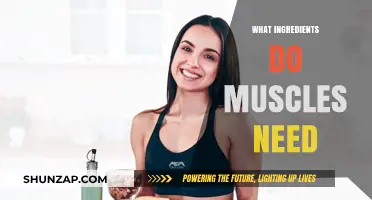 Muscle Fuel: Essential Ingredients for Growth and Repair