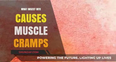 Insect Bites and Muscle Cramps: Uncovering the Surprising Connection