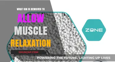 Calcium Ion Removal: The Key to Muscle Relaxation Explained