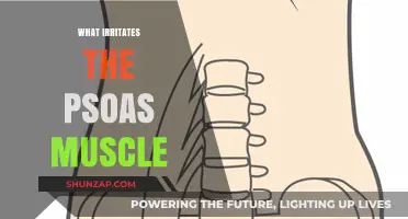 Psoas Muscle: What Triggers and Irritates It?