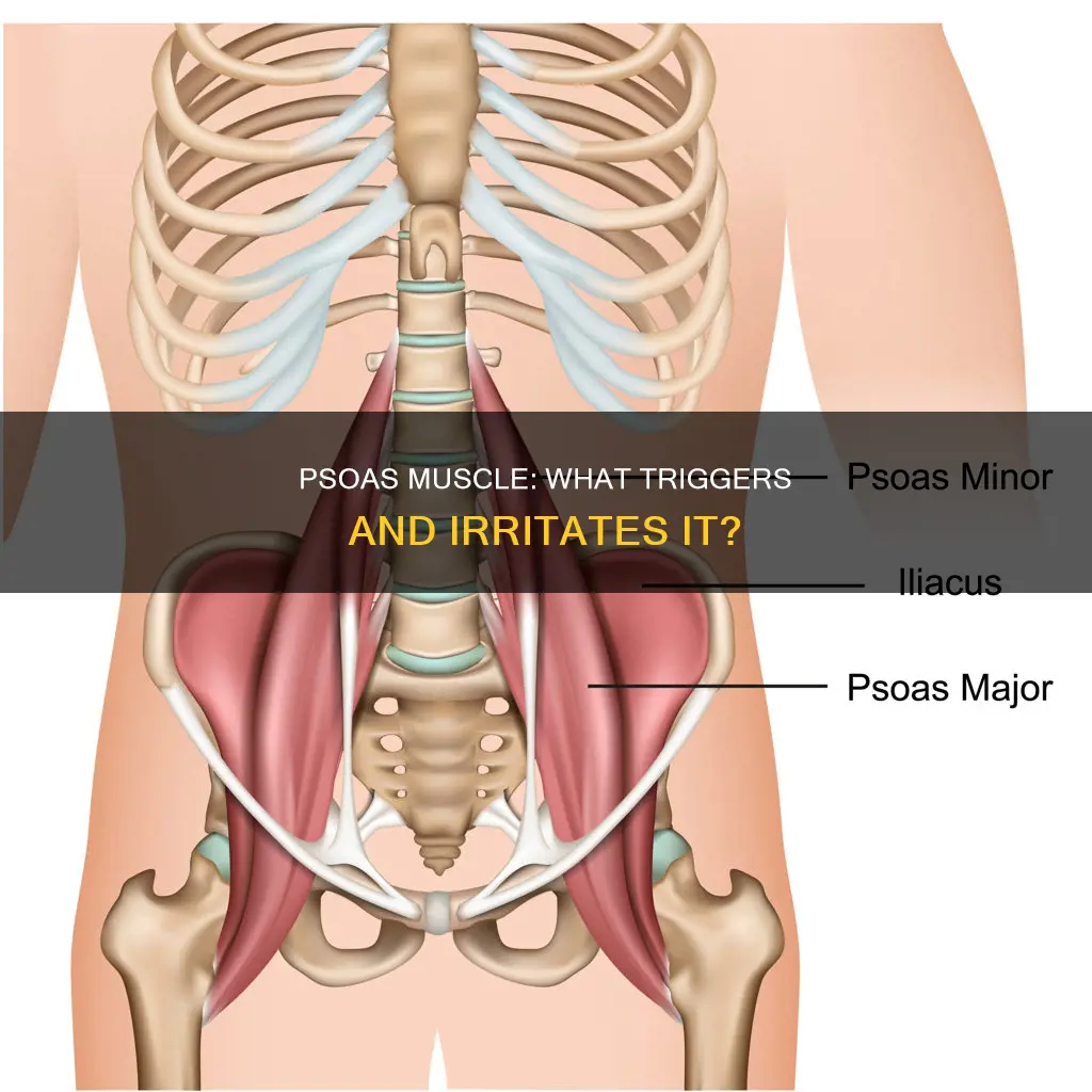 what irritates the psoas muscle