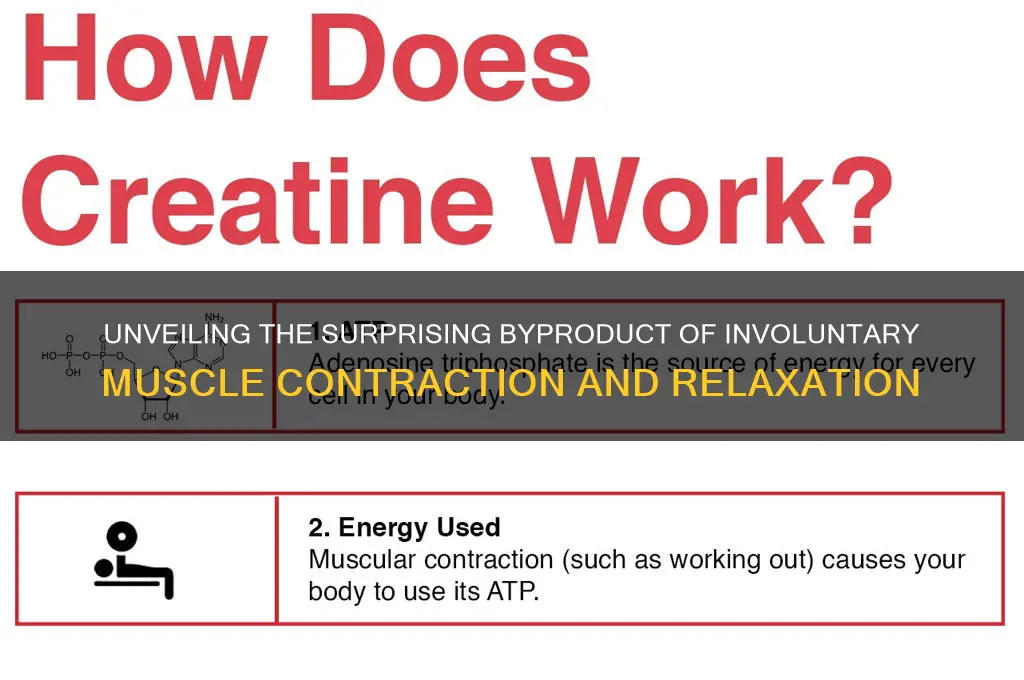 what is a byproduct of involuntary muscle contraction and relaxation
