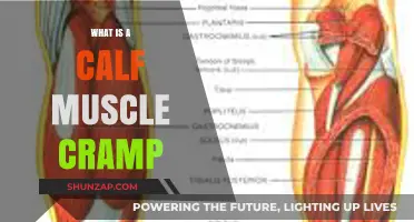 Understanding Calf Muscle Cramps: Causes, Symptoms, and Relief