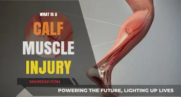 Understanding Calf Muscle Injuries: Causes, Symptoms, and Treatment