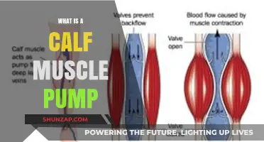 Unleashing the Power of Your Calves: The Ultimate Guide to Calf Muscle Pumps
