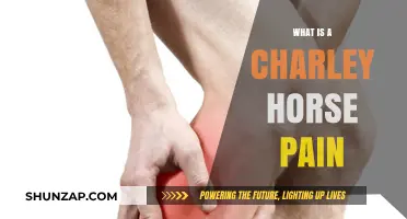 Understanding Charley Horse Pain: Causes, Symptoms, and Relief Strategies