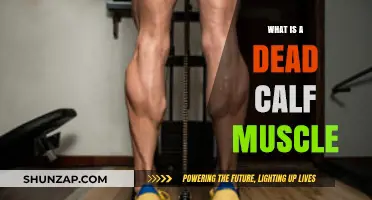 Understanding the Causes and Symptoms of a Dead Calf Muscle