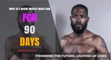Achievable Muscle Mass Gain Goals for a 90-Day Transformation