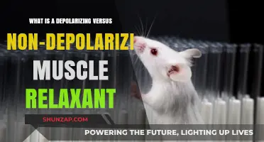 Depolarizing vs. Non-Depolarizing Muscle Relaxants: Key Differences Explained