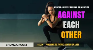 Understanding Isometric Contractions: Gentle Muscle Pulling for Strength and Stability