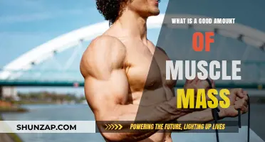 Optimal Muscle Mass: A Guide to Achieving Your Fitness Goals