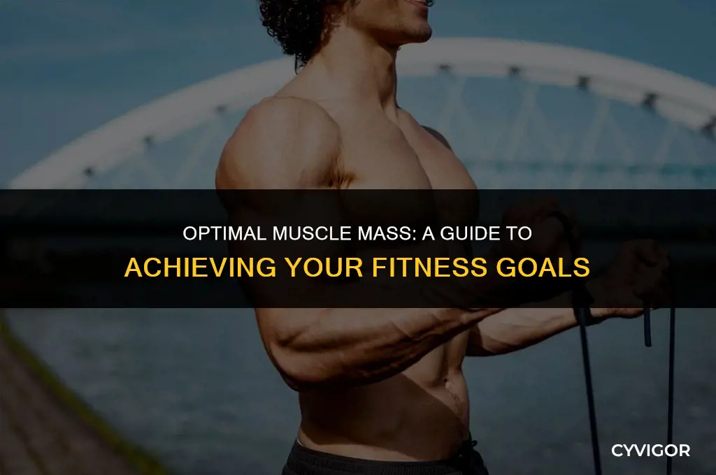 what is a good amount of muscle mass