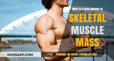 Optimal Skeletal Muscle Mass: A Guide to Healthy Body Composition