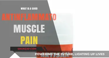 Effective Anti-Inflammatory Remedies for Soothing Muscle Pain Relief