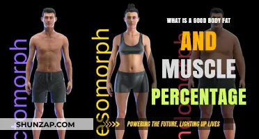 Optimal Body Composition: Balancing Fat and Muscle Percentages