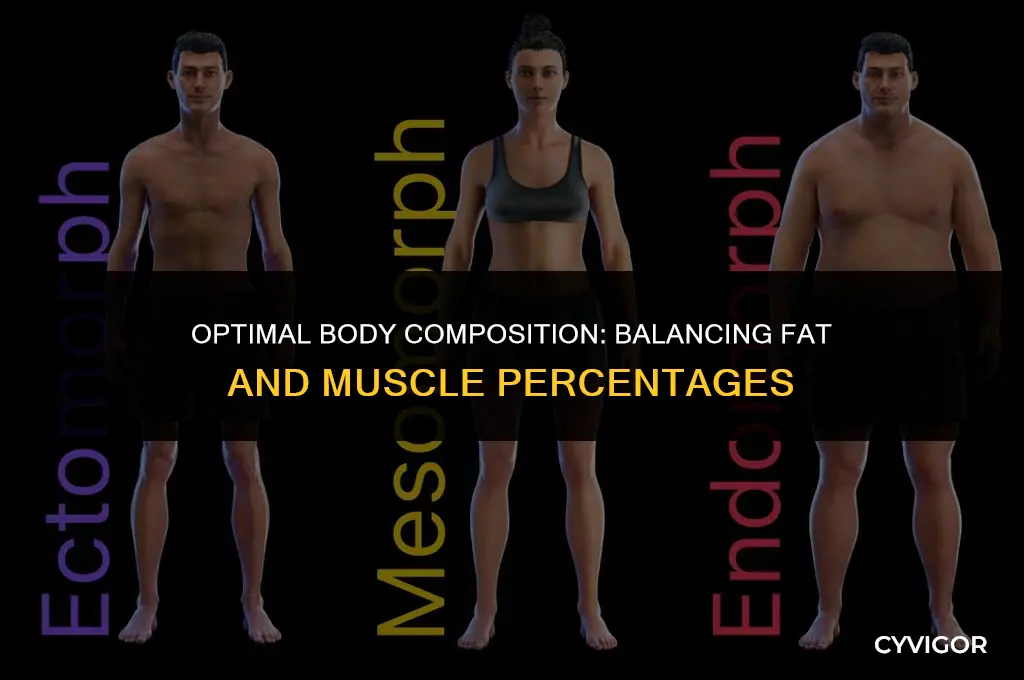what is a good body fat and muscle percentage