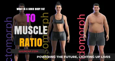 Optimal Body Composition: Balancing Fat and Muscle for Health and Performance
