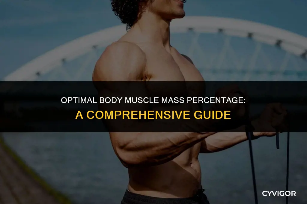 what is a good body muscle mass percentage
