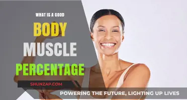 Optimal Body Muscle Percentage: Understanding Healthy Fitness Goals