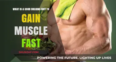 Effective Bulking Diet Plan for Rapid Muscle Gain and Growth