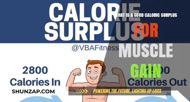 Optimal Caloric Surplus for Effective Muscle Gain: A Comprehensive Guide
