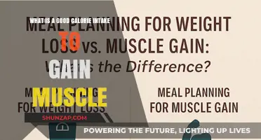 Optimal Calorie Intake for Effective Muscle Gain: A Comprehensive Guide
