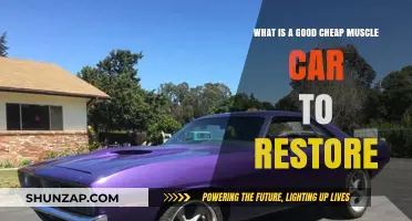Reviving Power on a Budget: Top Picks for Affordable Muscle Car Restorations
