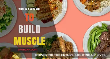 Fuel Your Gains: The Ultimate Muscle-Building Diet Guide
