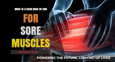 Effective CBD Dosage for Relieving Sore Muscles: A Comprehensive Guide