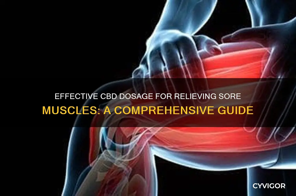 what is a good dose of cbd for sore muscles