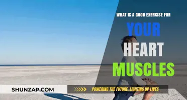 Strengthen Your Heart: Effective Exercises for Cardiac Health