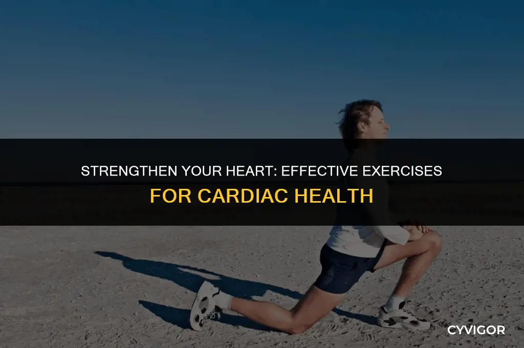 what is a good exercise for your heart muscles