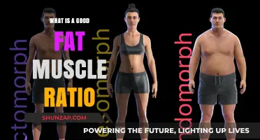 Optimal Body Composition: Understanding the Ideal Fat-to-Muscle Ratio