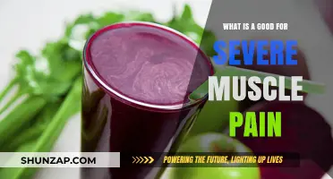 Effective Remedies for Severe Muscle Pain: A Comprehensive Guide