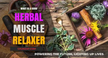 Natural Muscle Relief: Discover Effective Herbal Relaxers for Soothing Tension