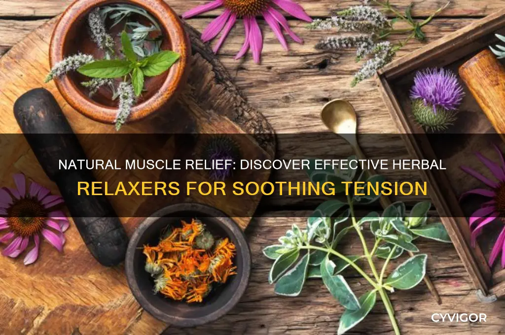 what is a good herbal muscle relaxer