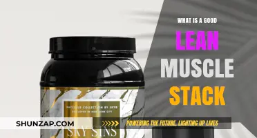 Optimal Lean Muscle Stack: Sculpting Your Physique Efficiently