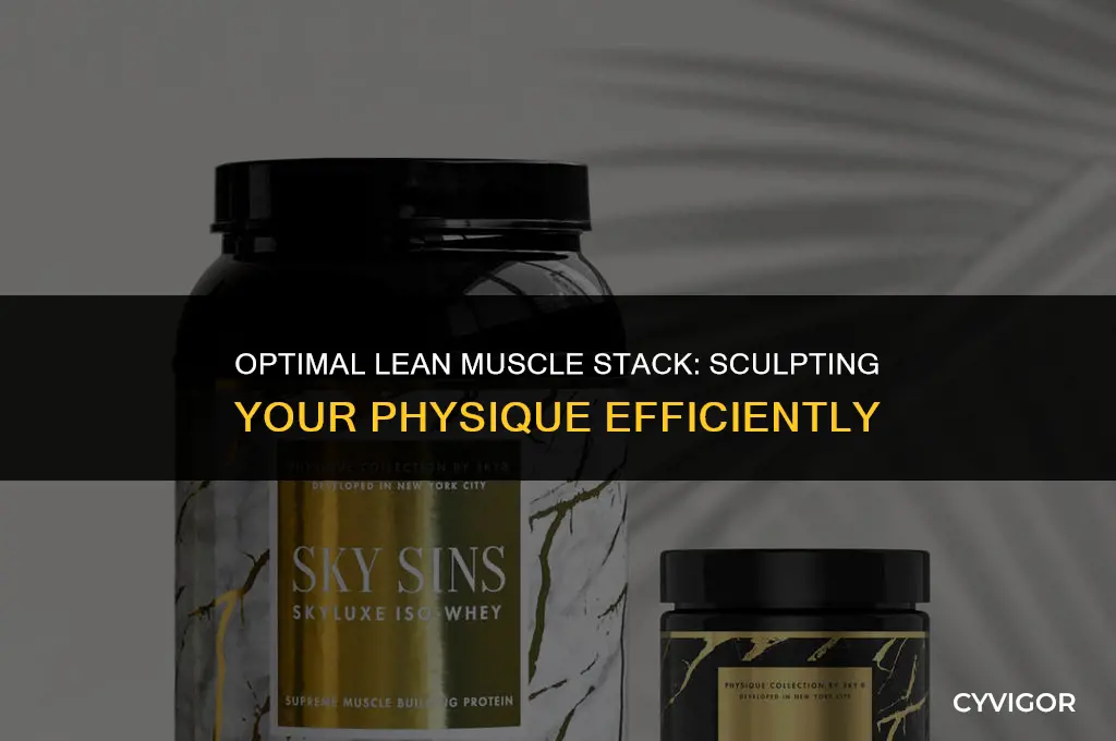what is a good lean muscle stack