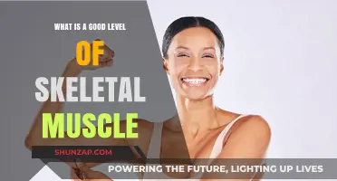 Optimal Skeletal Muscle Mass: A Guide to Healthy Body Composition