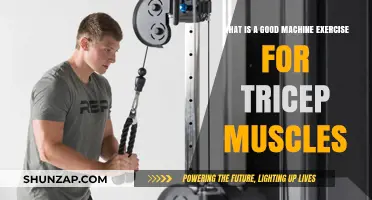 Effective Tricep Machine Workouts: Sculpting Strong Arm Muscles