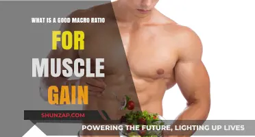 Optimal Macro Ratios for Effective Muscle Gain: A Comprehensive Guide