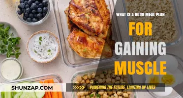 Fuel Your Muscle Growth: Effective Meal Plan Strategies for Strength