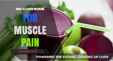 Effective Remedies for Muscle Pain: A Comprehensive Guide