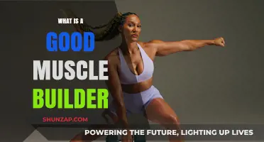 Building Strength: Effective Muscle-Building Strategies for Fitness Enthusiasts