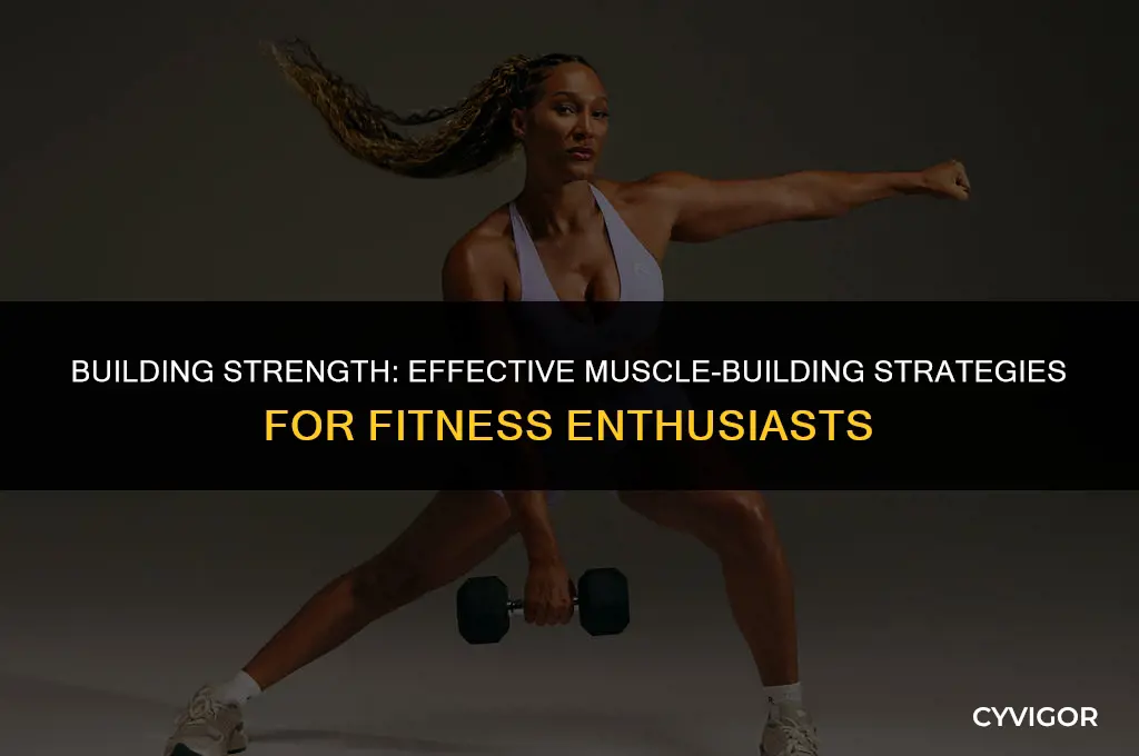 what is a good muscle builder