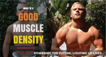 Optimal Muscle Density: A Key to Health and Performance